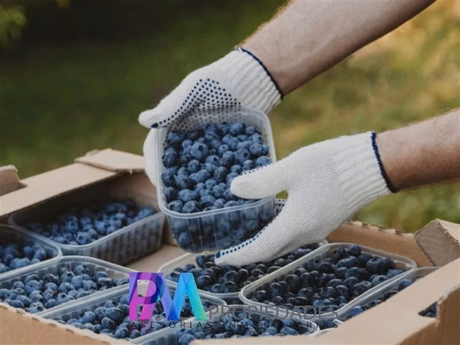 Agrícola en venta en Linares