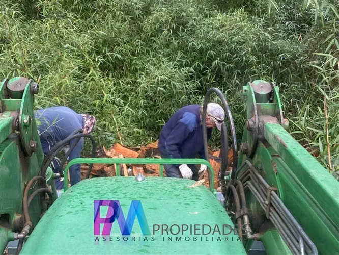 Agrícola en venta en Linares