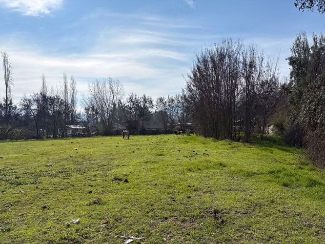 VENDE TERRENO 7.930 M2 EL PERAL LAGUNA ACULEO PINTUE PAINE - Imagen 15