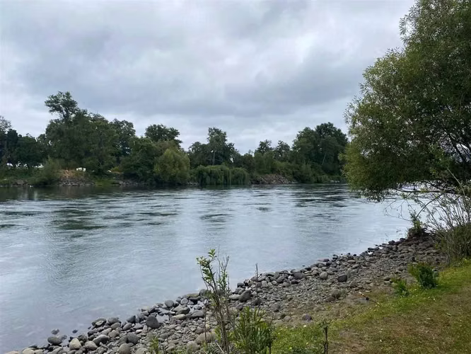 Sitio entre los lagos Maihue y Ranco (180226)