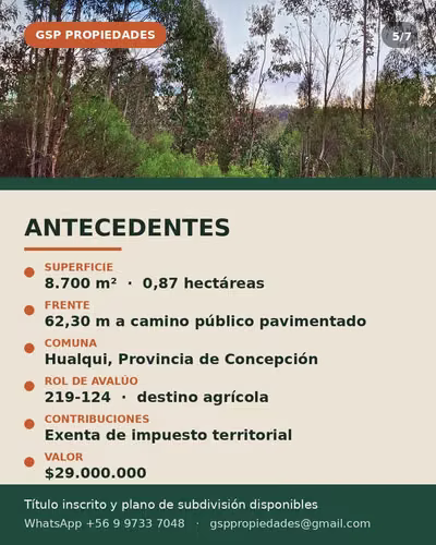 SE VENDE TERRENO 8700 MTS2 HUALQUI (180602) - Imagen 7