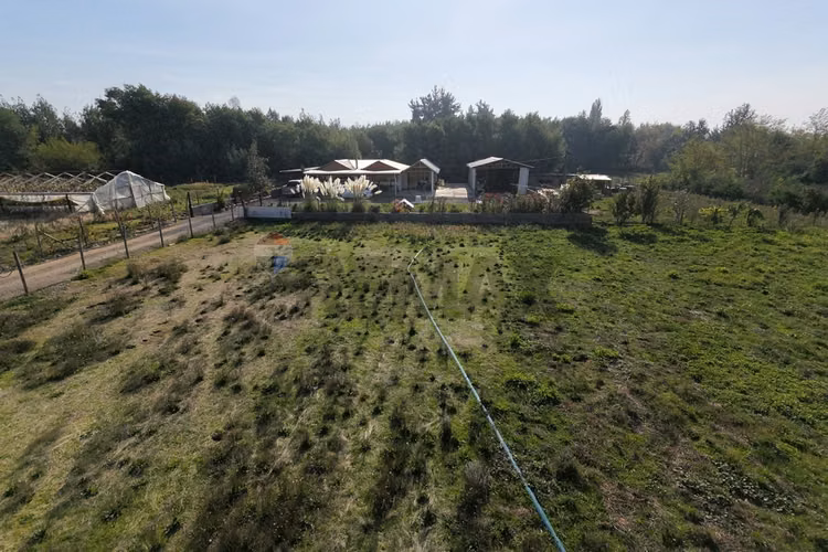 Casa de campo con terreno agrícola de 2,5 ha - Imagen 23