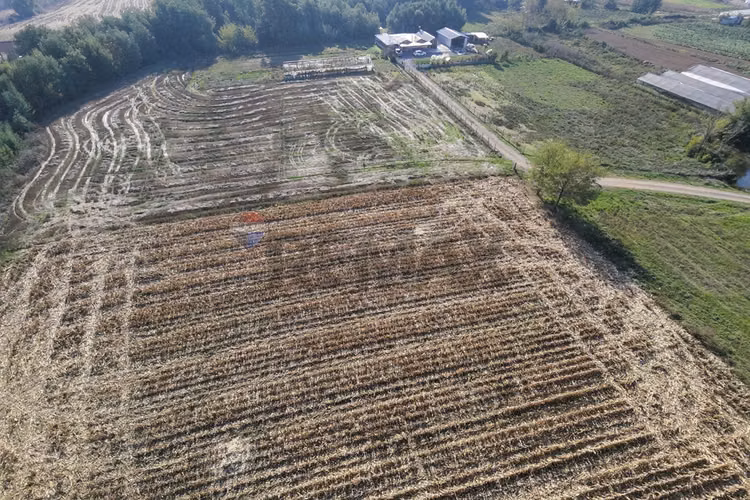 Casa de campo con terreno agrícola de 2,5 ha - Imagen 28