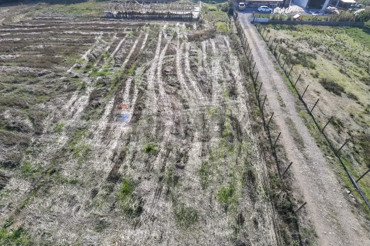 Casa de campo con terreno agrícola de 2,5 ha - Imagen 25