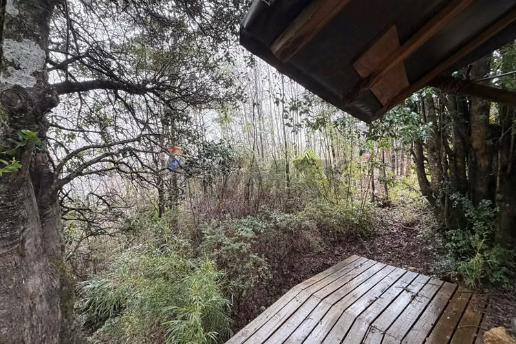 Venta propiedad huerquehue- pucon