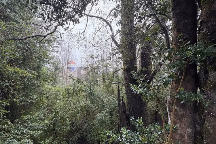 Venta propiedad huerquehue- pucon
