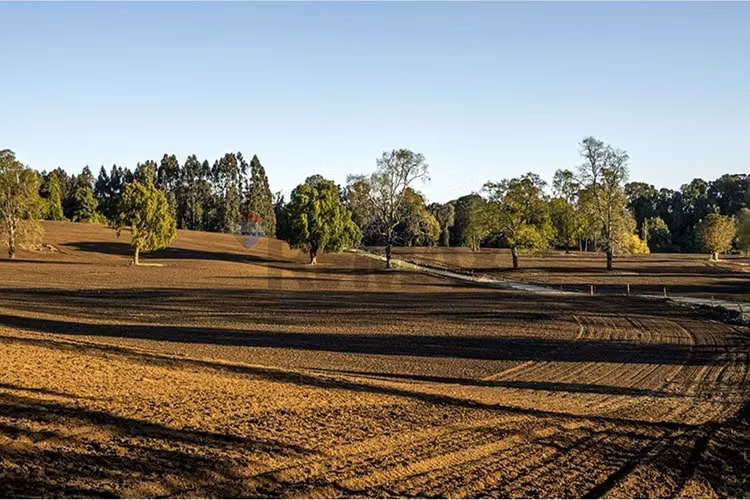 Lake rupanco land opportunity | puyehue, chile