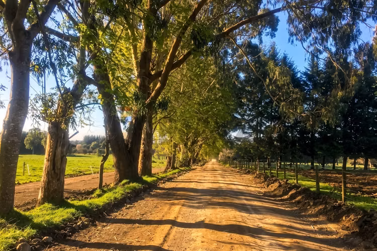 Lake rupanco land opportunity | puyehue, chile