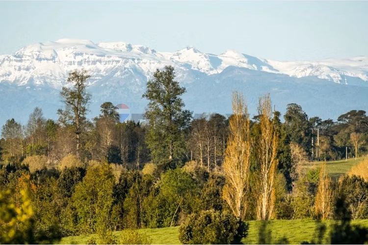 Lake rupanco land opportunity | puyehue, chile