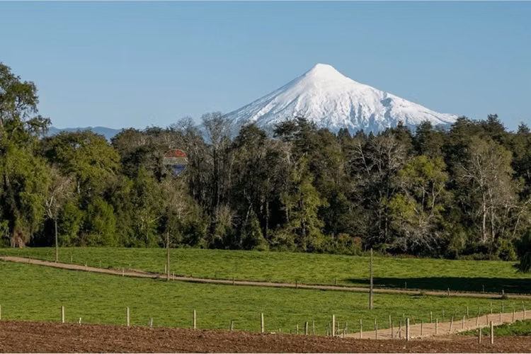 Lake rupanco land opportunity | puyehue, chile
