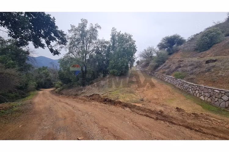 Parcela en condominio bosques de aculeo - Imagen 10