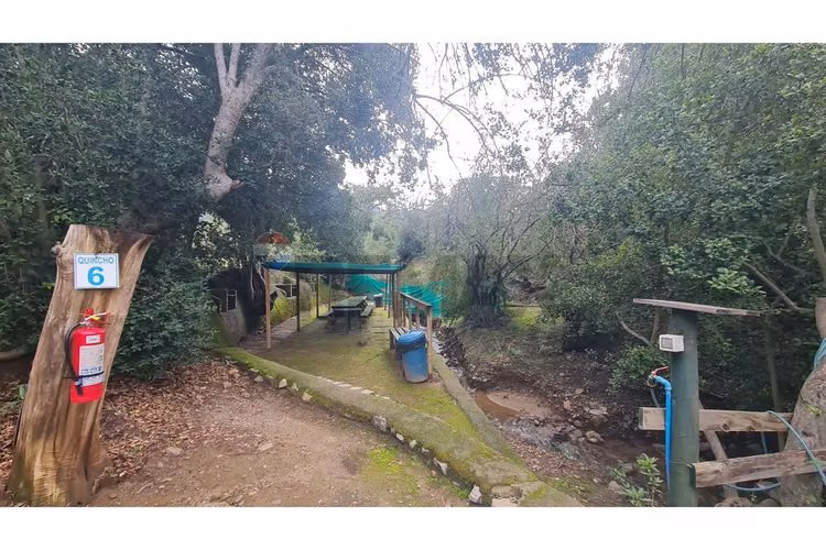 Parcela en condominio bosques de aculeo - Imagen 20