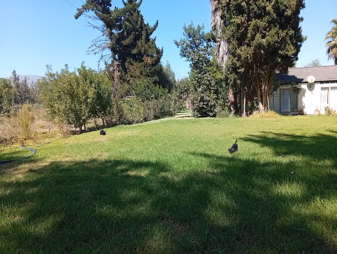 AMPLIA PROPIEDAD Y PARCELA EN  HACIENDA EL MIRADOR, OVALLE - Imagen 20