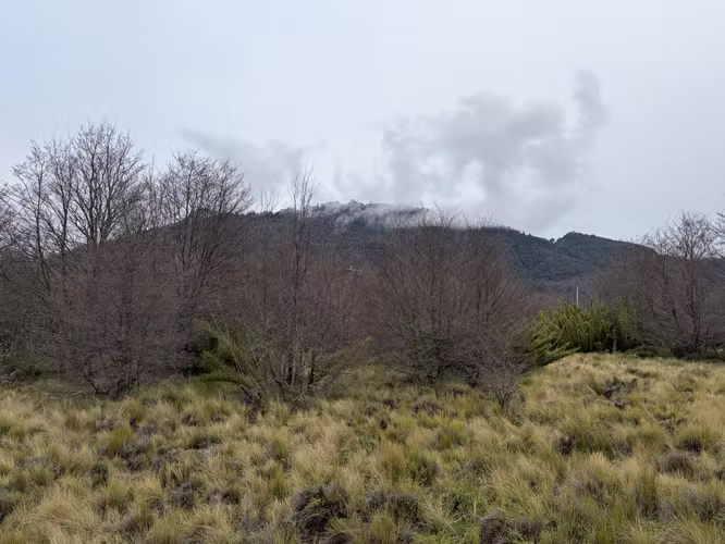 VENTA PARCELA 5000 M2 MALALCAHUELLO - Imagen 4