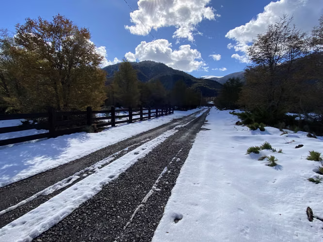 VENTA PARCELA 5000 M2 MALALCAHUELLO - Imagen 1