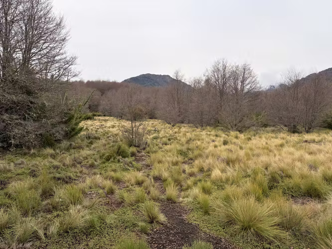 VENTA PARCELA 5000 M2 MALALCAHUELLO - Imagen 3