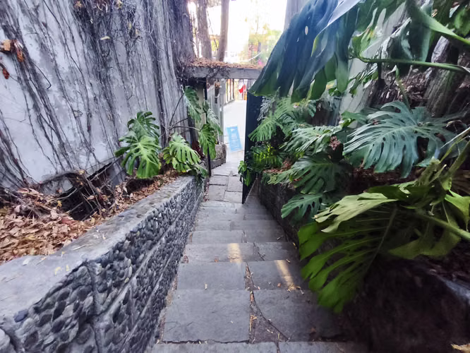 SE VENDE PROPIEDAD PARA INVERTIR BARRIO BELLAVISTA 2 PISOS