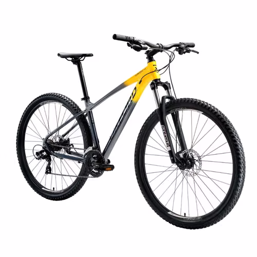 Bicicleta Oxford Modelo Orion 4 Aro 29