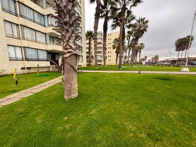 EN EL SECTOR MAS RENTABLE DEL MAR LA SERENA  (180622) - Imagen 1