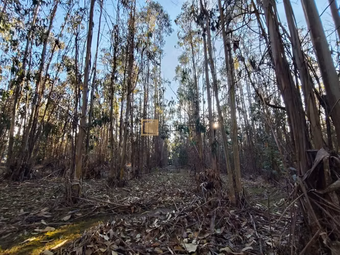 Terreno en venta ubicado en Tunquén - El Yeco - Imagen 9