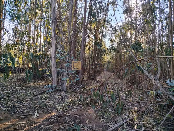 Terreno en venta ubicado en Tunquén - El Yeco - Imagen 6