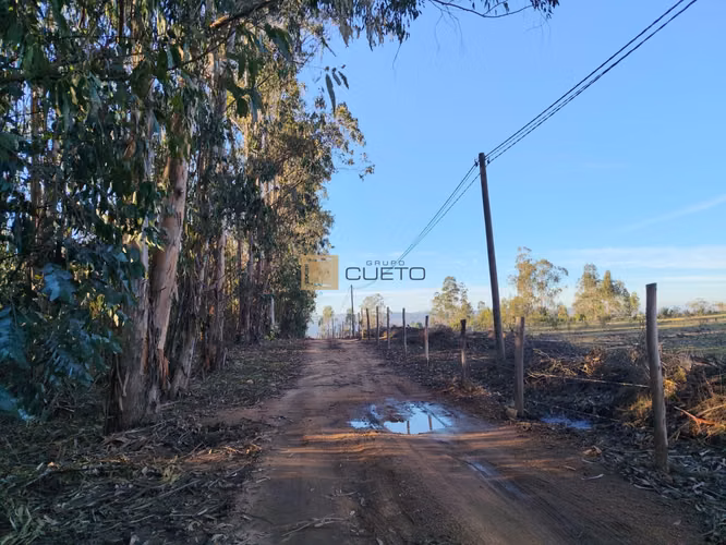 Terreno en venta ubicado en Tunquén - El Yeco - Imagen 5