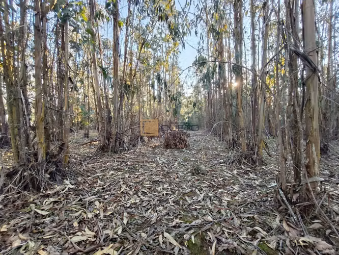 Terreno en venta ubicado en Tunquén - El Yeco - Imagen 10