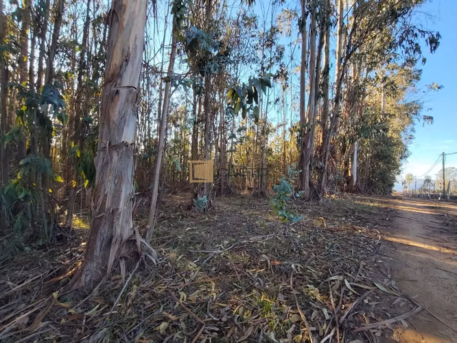 Terreno en venta ubicado en Tunquén - El Yeco - Imagen 15