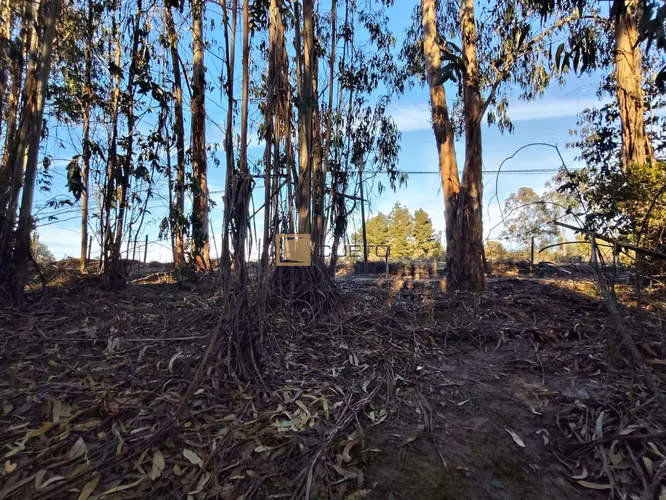 Terreno en venta ubicado en Tunquén - El Yeco - Imagen 11