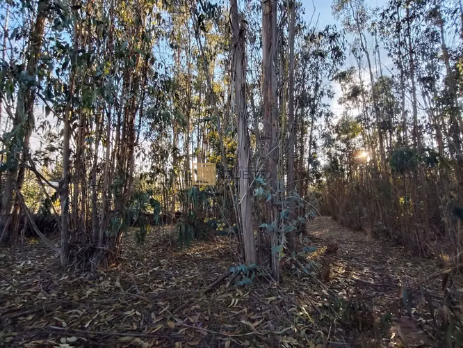Terreno en venta ubicado en Tunquén - El Yeco - Imagen 3