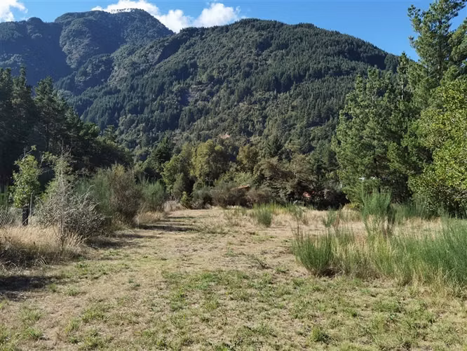 CASA EN ARRIENDO CERCANA AL CENTRO DE PUCON