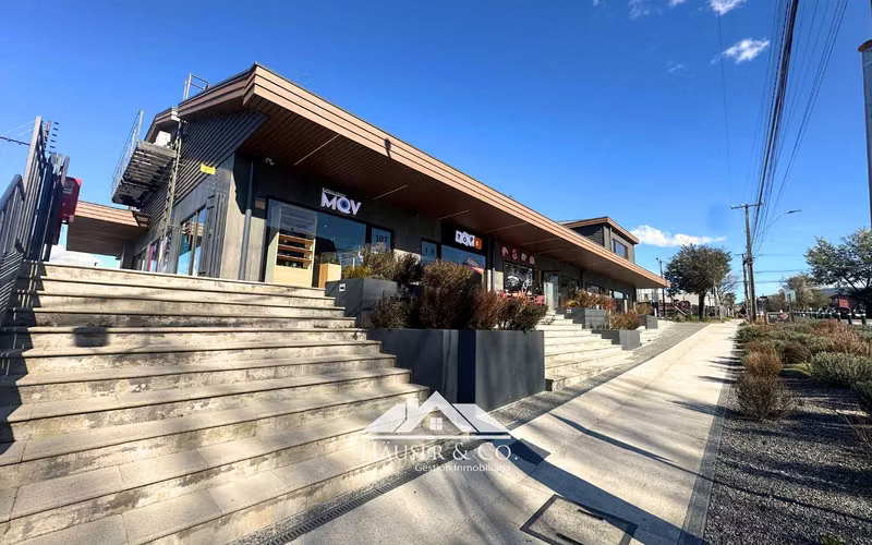 Locales comerciales en arriendo Villarrica Centro
