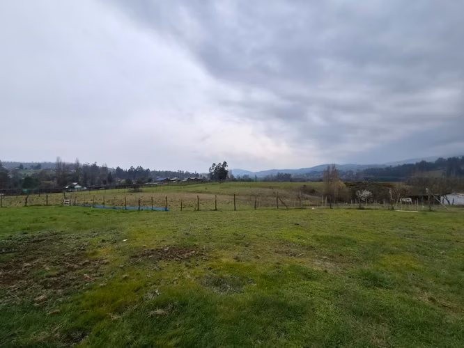 VENDO  PARCELA CAMPO 4 HECTAREAS
