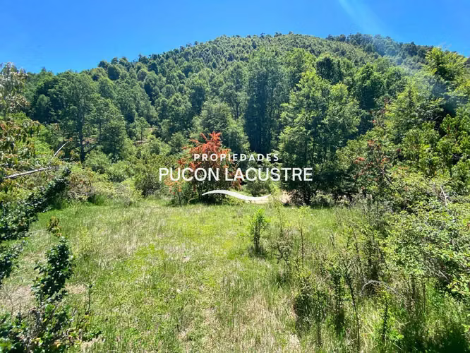 Parcela Sector la Barda Pucón Urbanizada (180481)