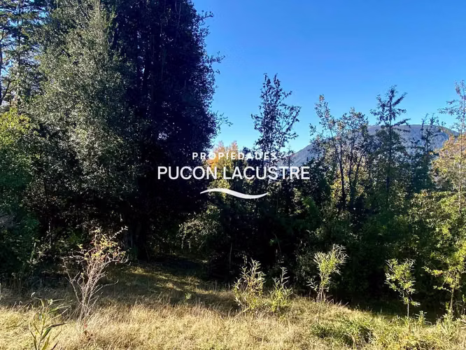 Parcela Sector la Barda Pucón Urbanizada (180481) - Imagen 18