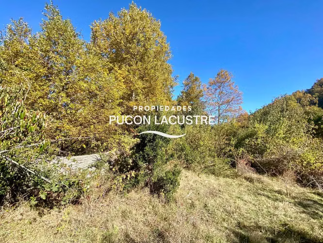 Parcela Sector la Barda Pucón Urbanizada (180481) - Imagen 14