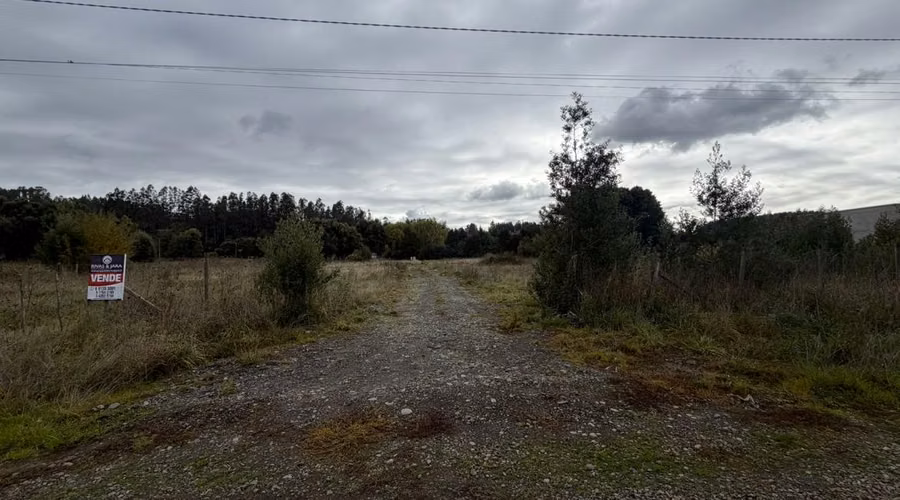 Vendemos Hermoso Parcela Camino A Botrolhue Temuco - Imagen 2
