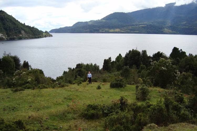 MUY BONITA PARCELA A ORILLAS DEL LAGO RUPANCO - Imagen 4