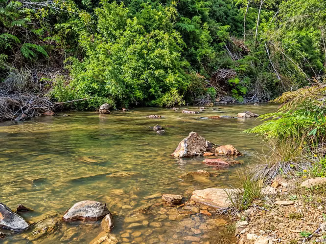 Parcela con río y bosque nativo (180683) - Imagen 4