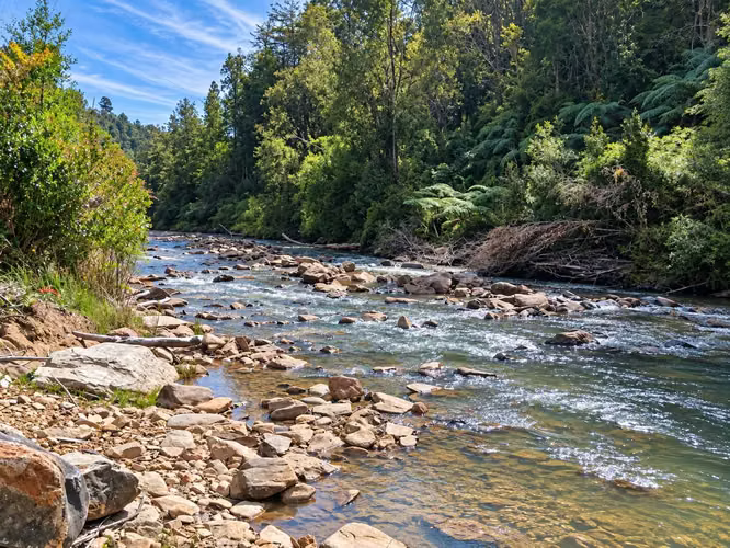 Parcela con río y bosque nativo (180683) - Imagen 2