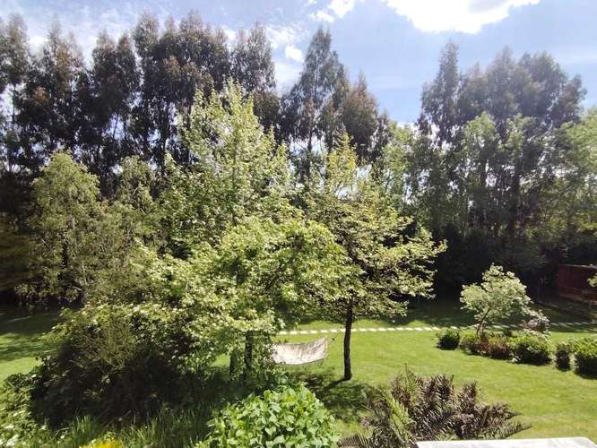 Casa con 2 cabañas a la venta en Puerto Varas (180530) - Imagen 24