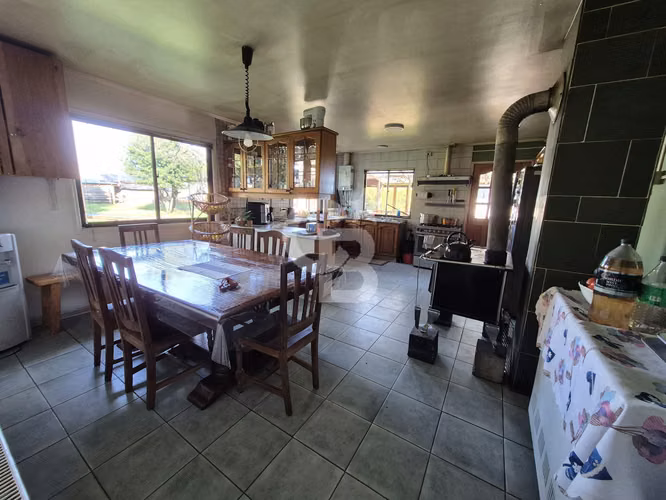 Excelente propiedad productiva de 1,8 ha en San Pablo - Imagen 5