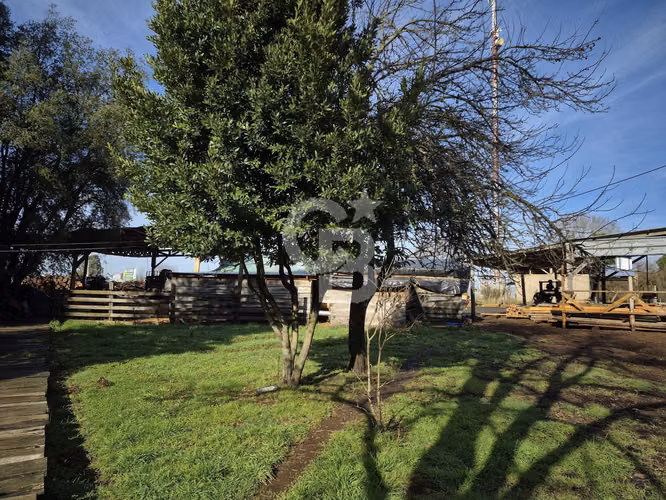 Excelente propiedad productiva de 1,8 ha en San Pablo - Imagen 14
