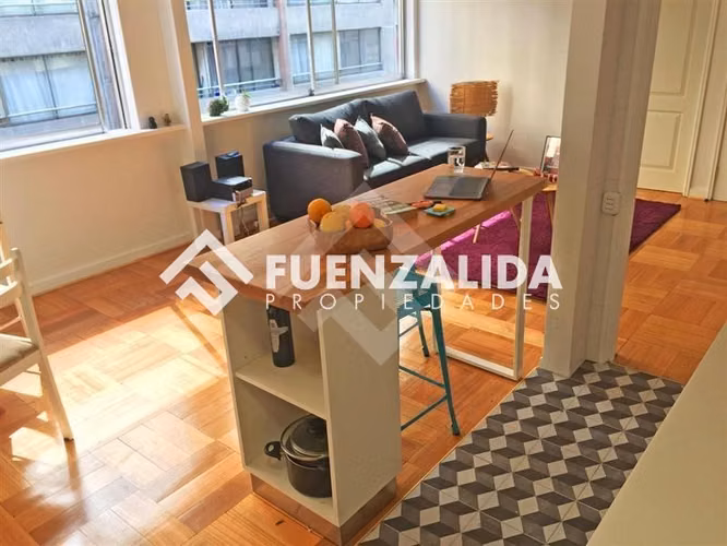 Arriendo departamento Santiago 1 dormitorio, M Bellas artes - Imagen 23