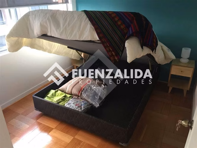 Arriendo departamento Santiago 1 dormitorio, M Bellas artes - Imagen 27
