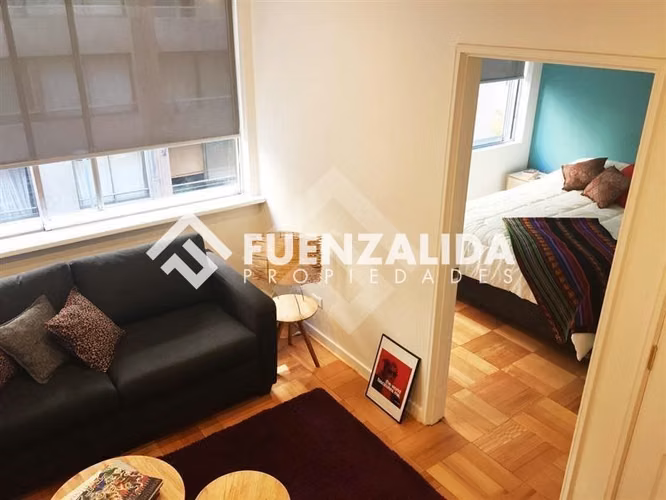 Arriendo departamento Santiago 1 dormitorio, M Bellas artes - Imagen 28