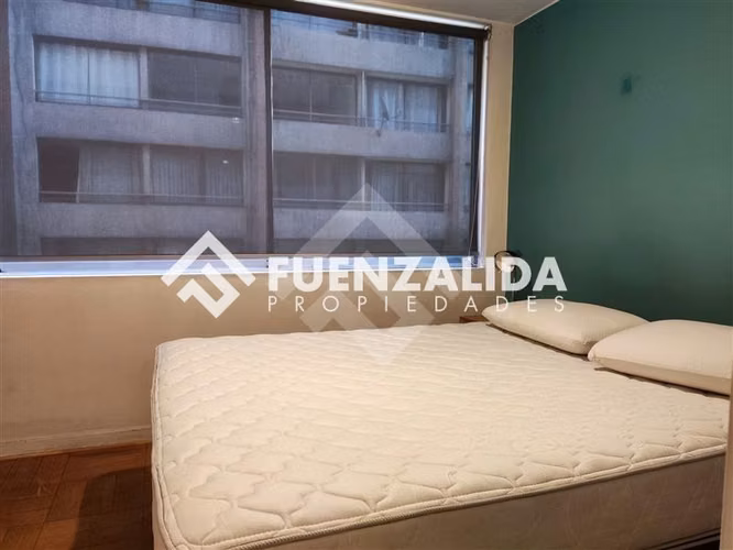 Arriendo departamento Santiago 1 dormitorio, M Bellas artes - Imagen 14