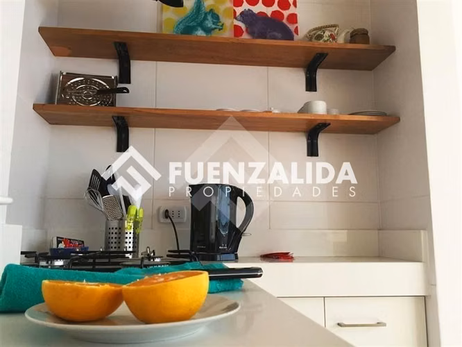 Arriendo departamento Santiago 1 dormitorio, M Bellas artes - Imagen 20