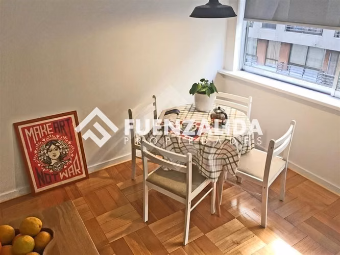 Arriendo departamento Santiago 1 dormitorio, M Bellas artes - Imagen 21