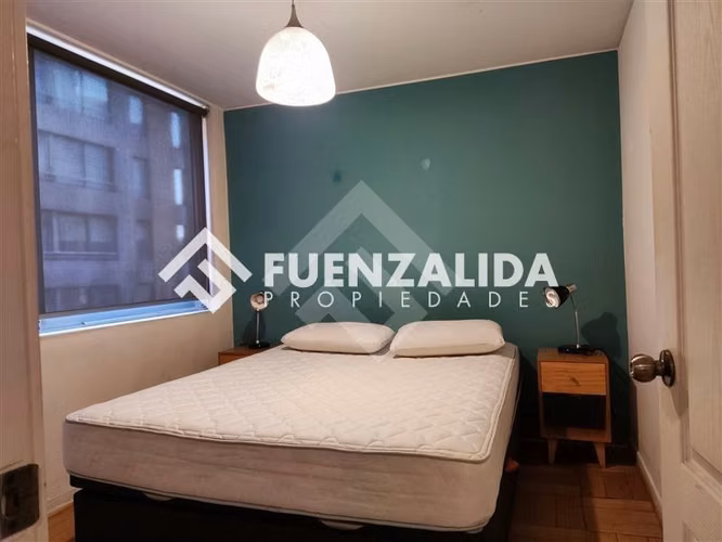 Arriendo departamento Santiago 1 dormitorio, M Bellas artes - Imagen 13